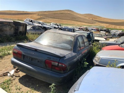 Proton Persona Kapı