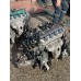 Honda Civic Vtec 1.6 Motor